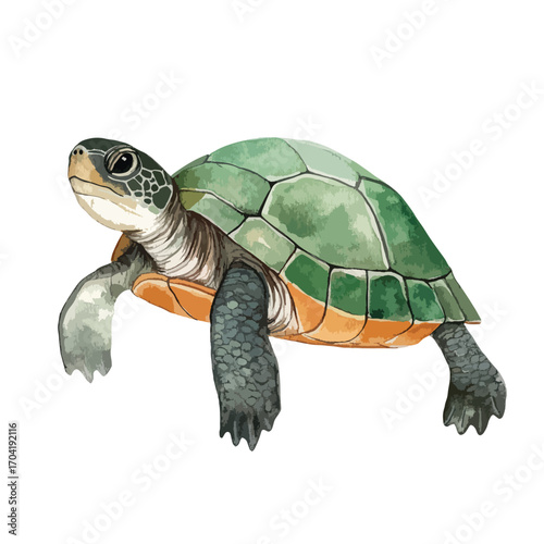 Detailed Watercolor Illustration of a Sea Turtle with Green and Orange Shell