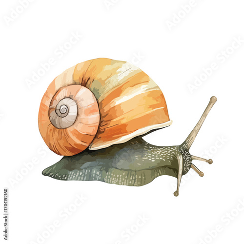 Detailed Watercolor Painting of a Snail with Orange Shell