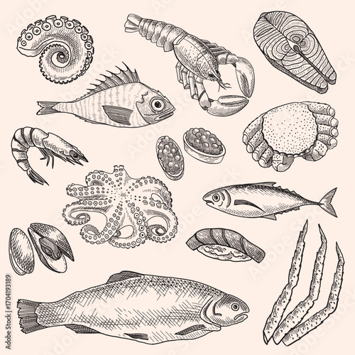 Seafood vector design illustration
