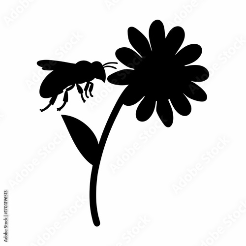 Bee Pollinating a Daisy Flower Silhouette on White Background, Pollination Process