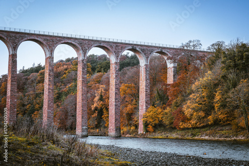 Leaderfoot viaduct in autumn 