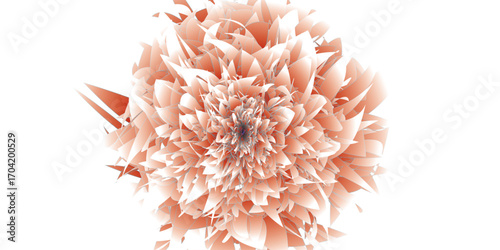 pink dahlia flower isolated on white,dahlia flower isolated on white.Elegant floral arrangement featuring soft coral hued blooms with gentle bokeh background.