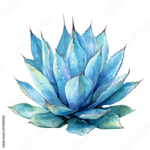 Blue Agave, watercolor clipart vector, isolated on a white background.