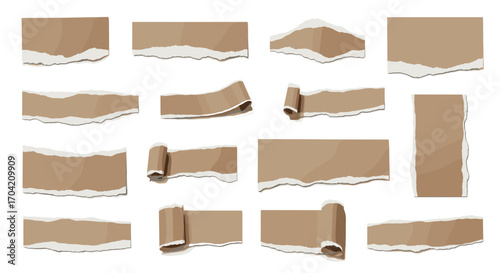 Collection of torn paper pieces with curled edges on a white background