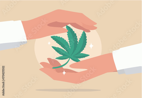 Cannabis care program, marijuana alternative medicine, legalize medical, weed or ganja concept, doctor hand holding cannabis green leaf.