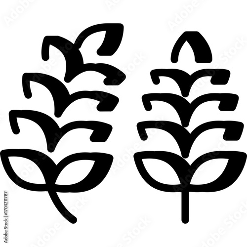Two wheat sprigs outline symbol of harvest