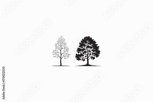 Quaking Aspen tree vector silhouettes black color image made by adobe illustrator with white color back round..eps