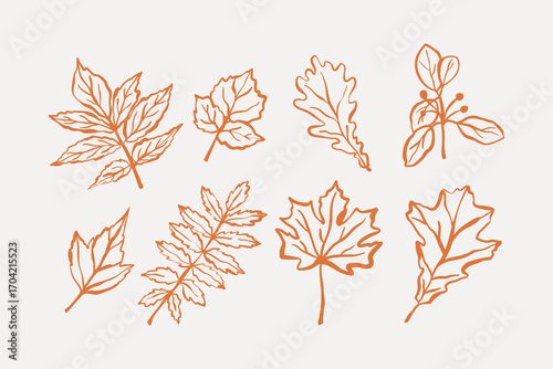 Set of hand drawn autumn leaves in line art style. Collection includes maple, oak, and other foliage elements. Perfect for seasonal design, patterns, cards, and decorations.