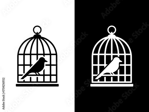 two bird in cage
