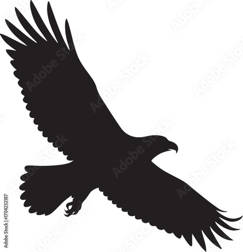 Black silhouette of an eagle in flight bird flying