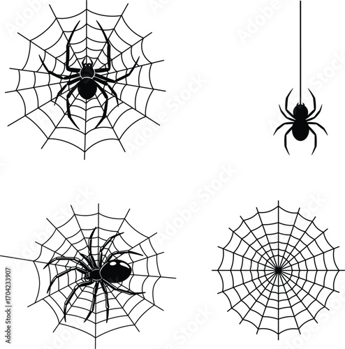 Spider and Web Silhouette Vector Set for Halloween Design