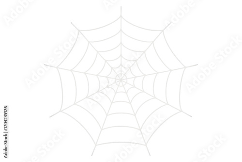 White spider web hanging on transparent background