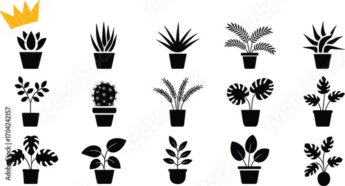 Black plant icon set, indoor houseplants collection, silhouette potted plants, decorative foliage, crown leaf design, modern vector graphic