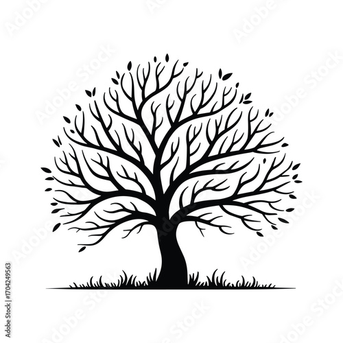 Majestic silhouette of a bare autumn tree with delicate branches and sparse leaves