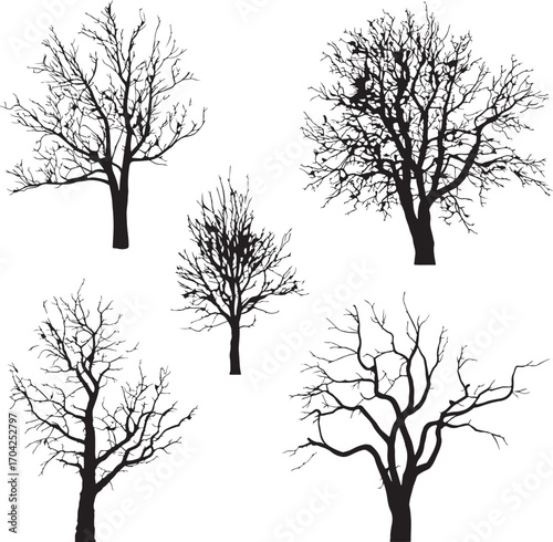 Set of five black and white leafless tree silhouettes with diverse branch structures, winter trees, botanical illustrations, vector graphics.