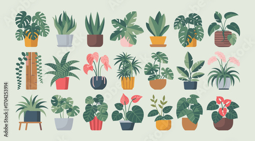 Collection of potted houseplants with green leaves and pink flowers in various planters potted plants