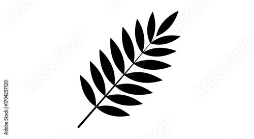A simple black silhouette of a fern frond showing its delicate leaf structure against a white background