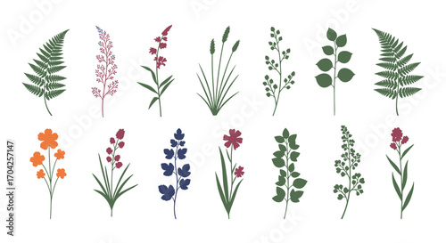 Collection of delicate wildflowers and greenery elements for artistic botanical designs