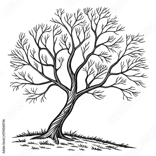 Stylized bare tree with twisting trunk and delicate branches on grassy ground