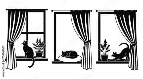 Three black cats in silhouette in windows with plants and curtains vector