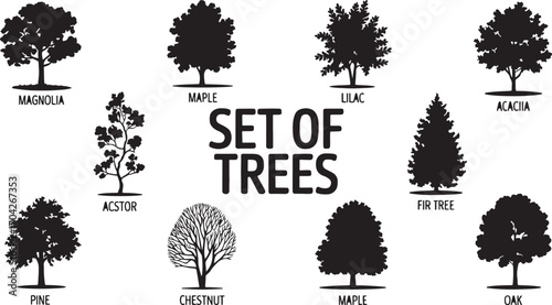 Set of Tree Illustrations Featuring Magnolia, Maple, Lilac, Castor, Acacia, Pine, Chestnut, and Oak for Coloring or Educational Use.