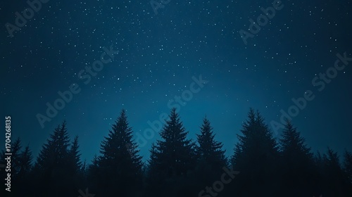 Starry night sky over conifer forest silhouette