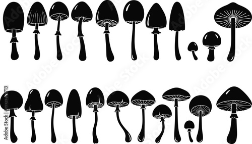 Silhouette set of mushrooms in various shapes and sizes, nature fungi collection, black mushroom profiles, vector illustrations of forest plants