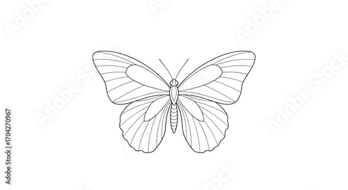 Detailed line drawing of a butterfly with dotted patterns on its wings.