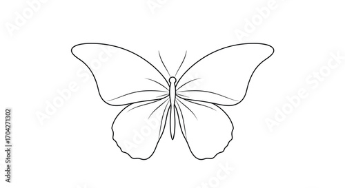 Simple outline drawing of a butterfly with delicate wing details.