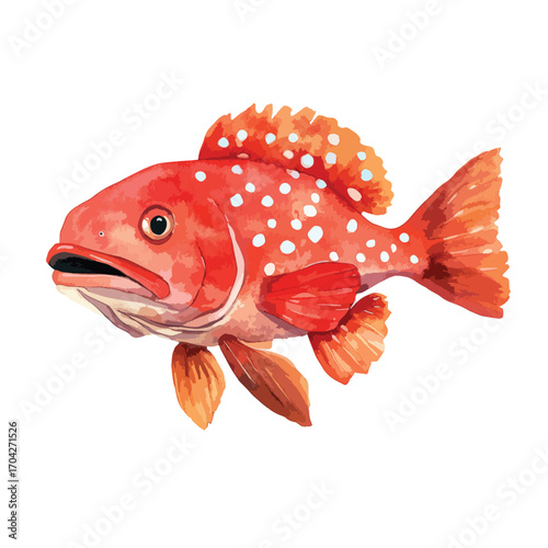 Vibrant Watercolor Illustration of a Spotted Fish (2)