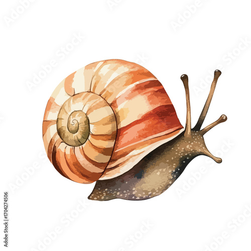 Vibrant Watercolor Snail Shell with Detailed Texture
