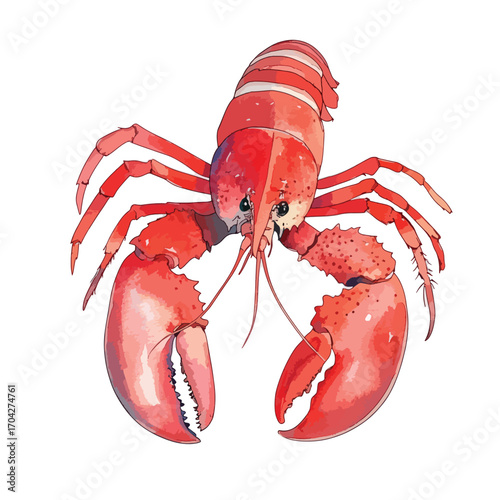 Vivid Watercolor Illustration of a Detailed Bright Red Lobster