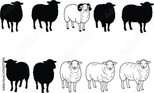 Sheep silhouette and outline vector set, farm animal illustration, domestic livestock collection, wool sheep graphic, black and white sheep