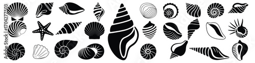 Diverse Seashells Vector Illustration Collection for Marine Biology and Coastal Designs