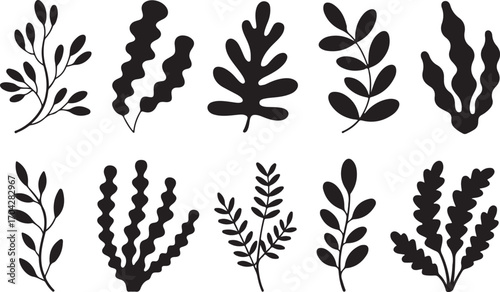 Botanical Silhouette Vector Set Seaweed and Branch Illustrations on Transparent Background