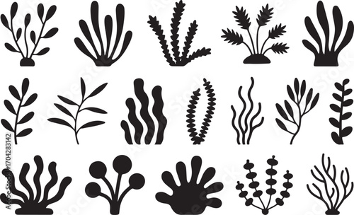 Botanical Silhouette Vector Set Seaweed and Branch Illustrations on Transparent Backdrop