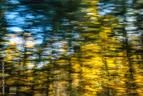 Colorful autumn foliage creates a vibrant blur as seen from a moving vehicle on a sunny day