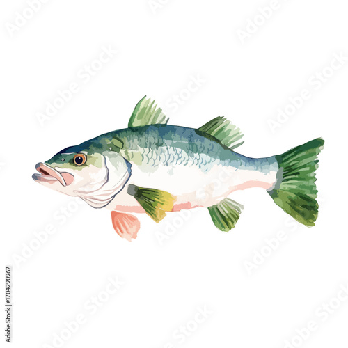 Watercolor Illustration of a Detailed Fish with Green Fins and Tail