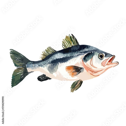 Watercolor Illustration of a Detailed Fish with Open Mouth and Fins (1)