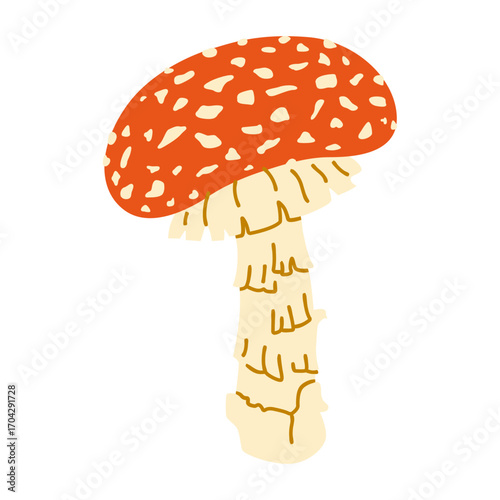 Red amanita mushroom with a tall textured stem and bright spotted cap. Symbol of autumn forest, wild fungi, nature, mycology, toxic plants, and folklore. Witchcraft halloween items. Isolated on white.