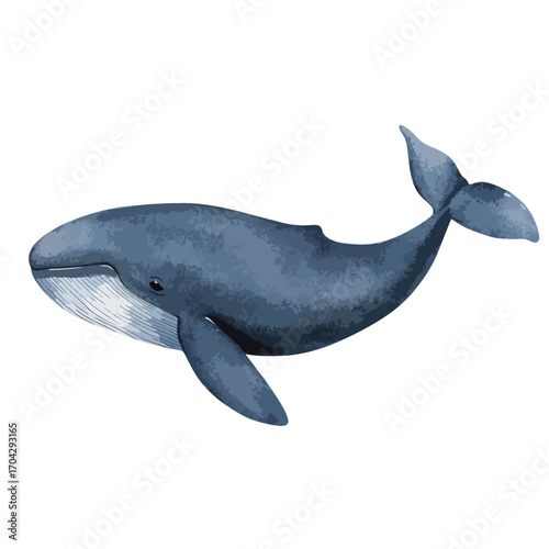 Watercolor Illustration of a Majestic Blue Whale Swimming Gracefully (1)
