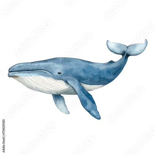 Watercolor Illustration of a Majestic Blue Whale Swimming Gracefully