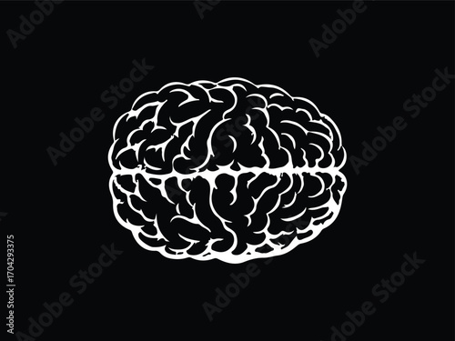 Detailed Human Brain Vector Illustration