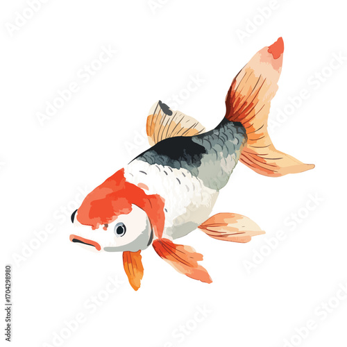 Watercolor Koi Fish with Orange White and Gray Scales Swimming Gracefully