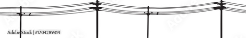 Power Lines Silhouette Vector Illustration Electricity Transmission Poles Isolated