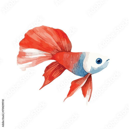 Watercolor Painting of a Vibrant Red and Blue Siamese Fighting Fish