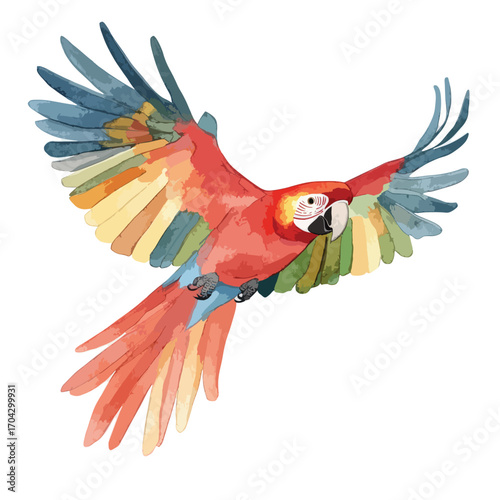 Watercolor Parrot in Flight with Vibrant Red Yellow and Blue Plumage