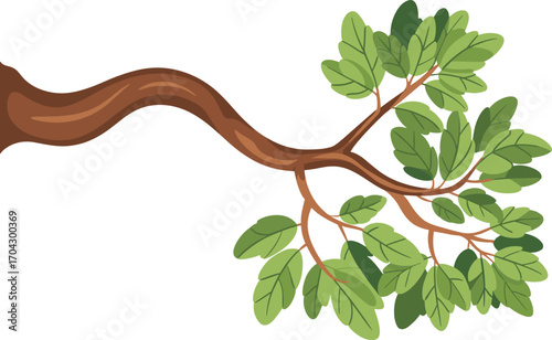 Brown tree branch with lush green leaves on white background