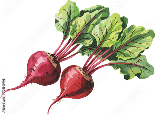 Freshly harvested red beets with vibrant green leaves