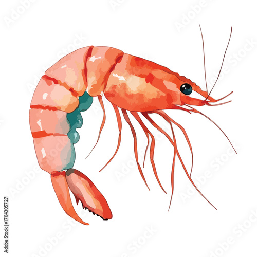 Watercolor Shrimp Illustration with Blue Accents and Delicate Antennae